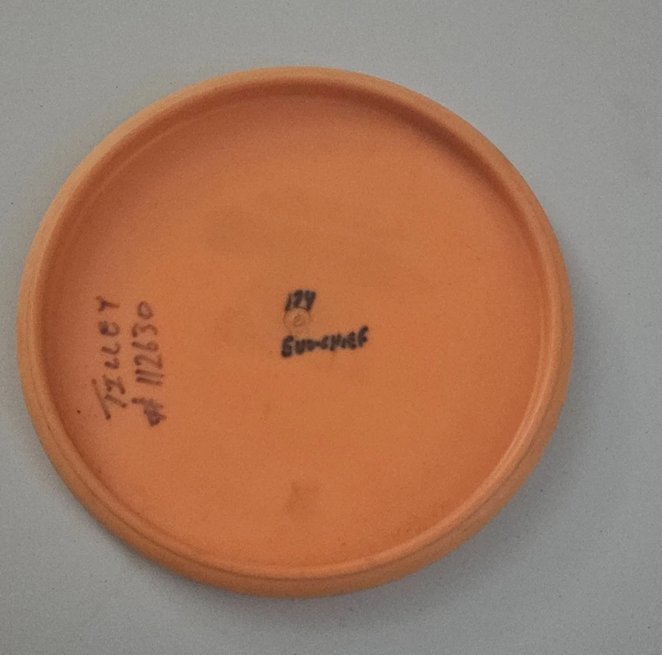 Gateway Disc Sports Evolution Chief 174g Orange Disc Golf Midrange OOP RARE - Image 3 of 4