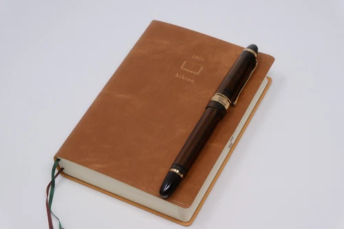 Wingsung 699 Brown Fountain Pen (Fine)