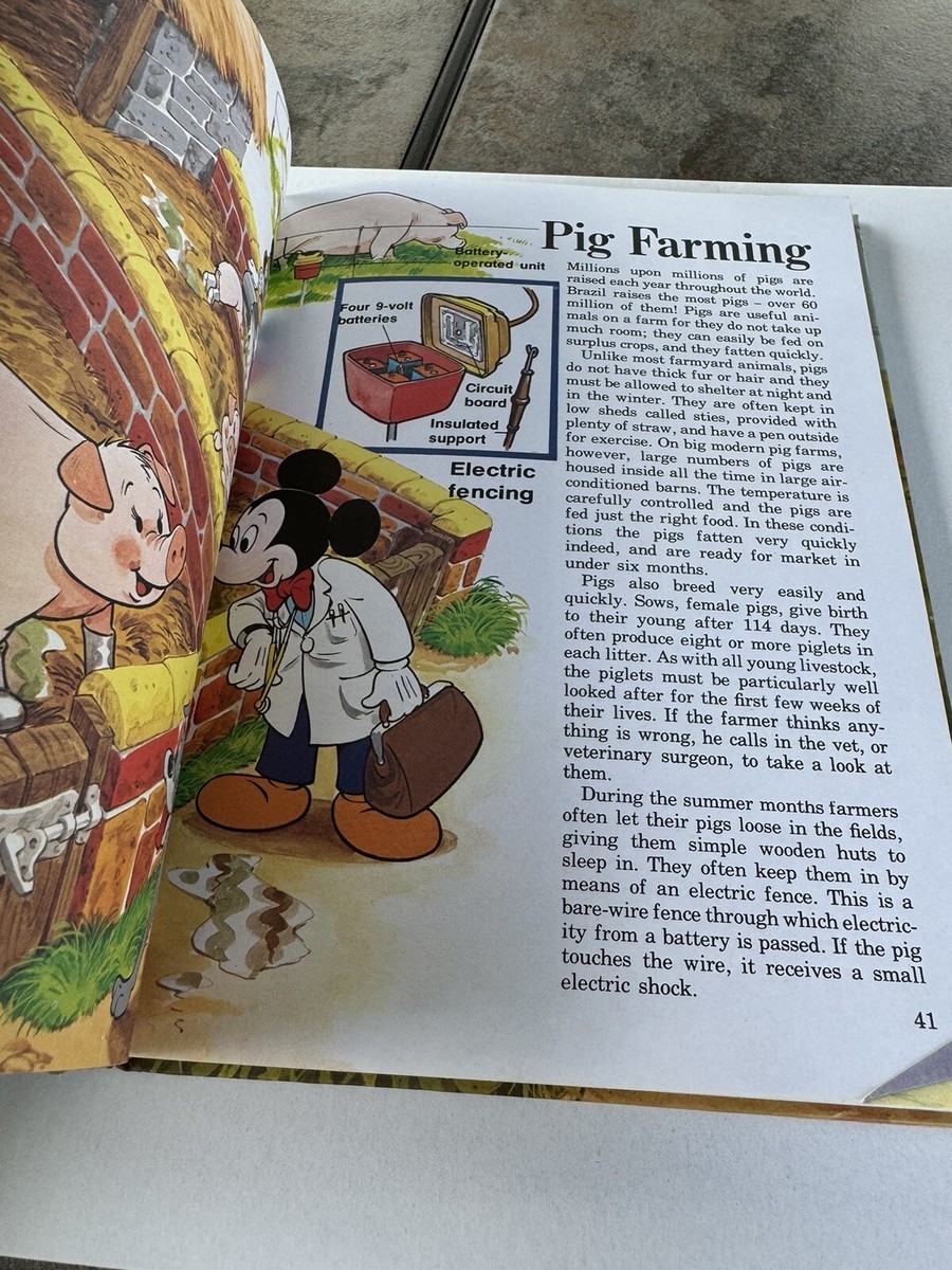 How It Works in the Country Hardcover Walt Disney Characters Book