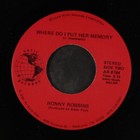 RONNY ROBBINS: why'd the last time have to be the best ARTIC 7" Single 45 RPM