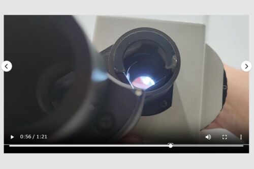 Olympus IX70 Microscope Head Tube U-BI90CT 30487 - Bild 17 von 19