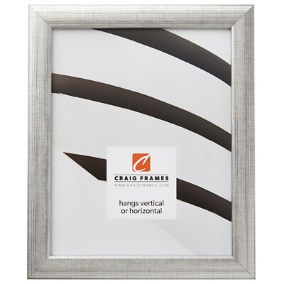 Craig Frames Basic Modern Picture Frame / Poster Frame, 9 Colors, 20+ Sizes.