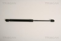 Triscan Heckklappen DäMpfer Gasfeder Kofferraum 8710 11234 FüR Mini Clubman R55