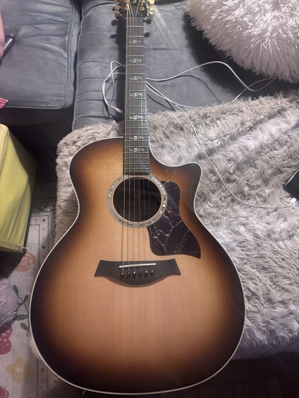 Taylor custom 414ac bought 2 Mo Ago hard case Included Floor Model Was $50O Off