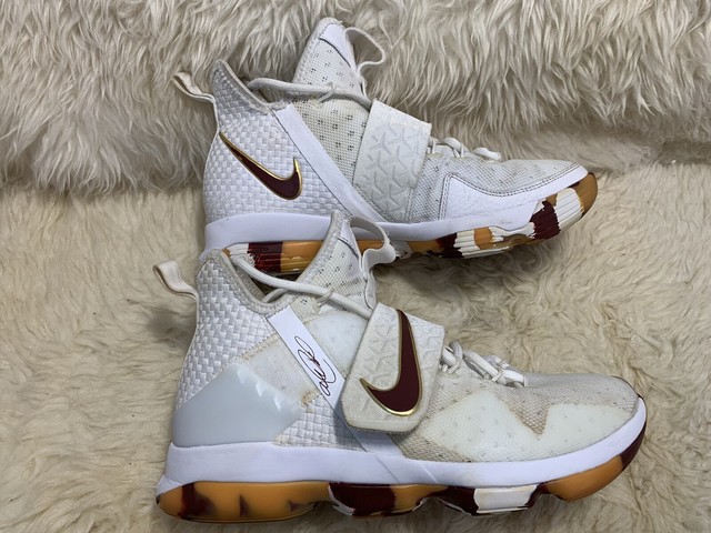lebron 14 wine