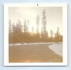 Old Vintage Square Color Photo FOREST LANDSCAPE SNOW WINTER SCENE SNAPSHOT