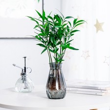 1 PCS kreative transparent Kunststoff Blumen vase Wohnzimmer Desktop Dekor