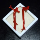 19.60 Ct Natural Italian Red Coral Stick Gemstone, Polished Coral Branch