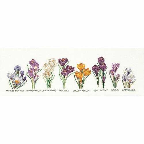 KIT POINT DE croix Confitures 2081A Thea Gouverneur Aida EUR 51,00