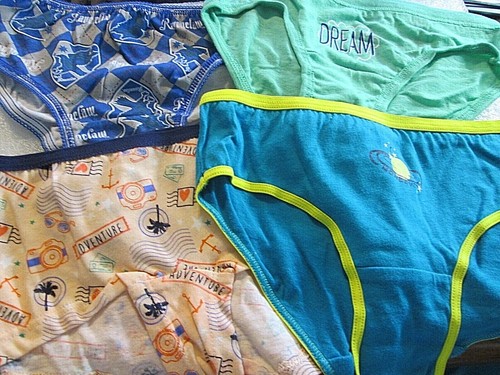 New Hanes,FruitLoom Etc Size 4 Girls' Bikini Briefs 4 Pack Your Choice of Group! - Picture 13 of 22