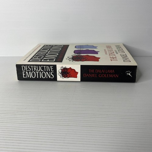 Destructive emotions and how we can overcome them by Daniel Goleman - Bild 3 von 4