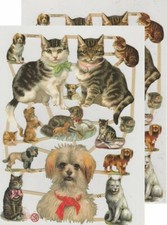 Chromo EF Découpis Chat & Chien 7238 Decoupage Collage Carterie