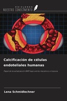 Lena Schmidlechner | CalcificacióN De CéLulas Endoteliales Humanas | Taschenbuch