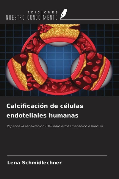 Lena Schmidlechner | CalcificacióN De CéLulas Endoteliales Humanas | Taschenbuch-image