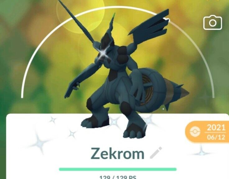 Pokemon Shiny zekrom 1