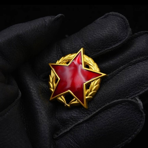 Yugoslav medal Partisan Star with gold Wreath Badge CCCP Soviet Union Badge - Picture 1 of 3
