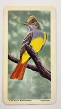 Crested Flycatcher No 9 Canadian American Songbirds Brooke Bond Tea Card HH890