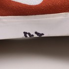 Picture 11 of 11
