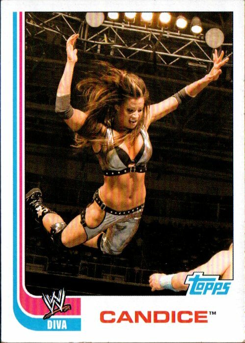 WWE コーディ・ローデス サインカード 日本未発売 プロレス 海外 fA7A コーディ・ローデスがWWE日本公演でAJスタイルズから王座防衛！父
