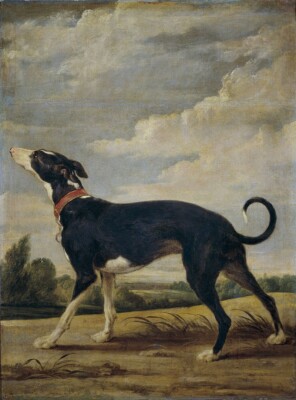 Oil painting nice animal dog in landscape handmade in oil on canvas