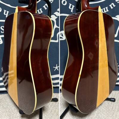 Acoustic Guitar Tomson by Suzuki W-35 Solid Top Natural with