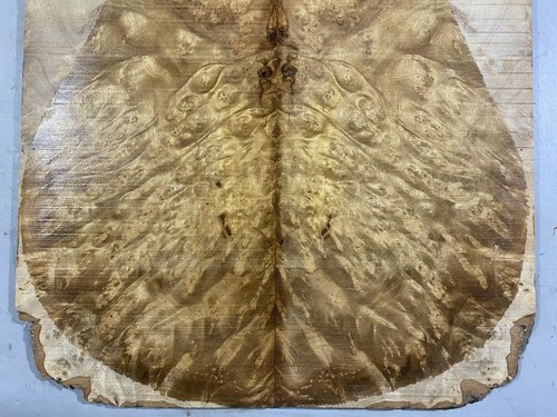 Electric Guitar Top Set Golden Camphor Wood Burl Luthier Supply - Picture 3 of 4