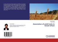 Association Of Yield Traits In Bread Wheat Jawad Rashid