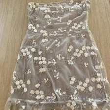 Lucy In The Sky fairy core ethereal embroidered chiffon one shoulder minidress. 