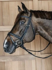 Dy’on New English Black Plaited Braided Bridle & Reins Full Horse Size