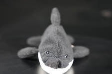 Vintage 1993 Ty "Splash" the Whale Beanie Baby - No Ty Tag