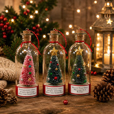 Recordable Christmas Tree in a Bottle Ornament, 25-Second Voice Message
