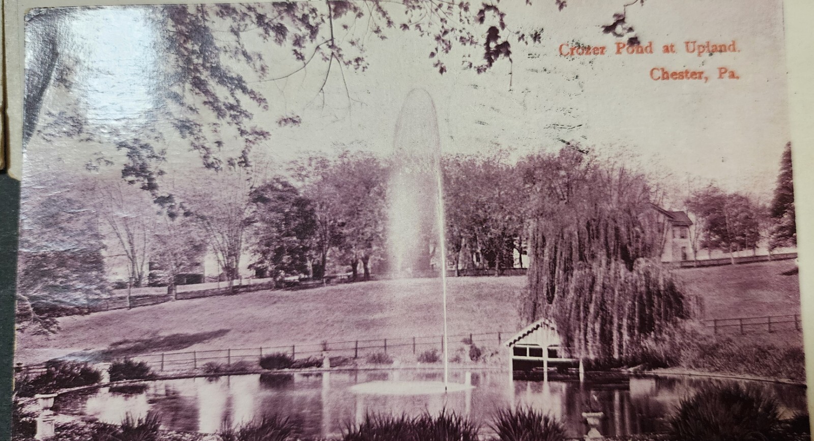 Picture 7 of 24