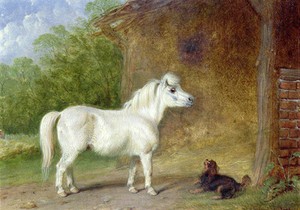 Huge Oil Painting White Horse With Black Dog In Village Landscape