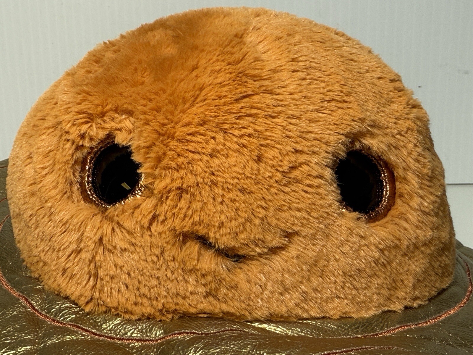 Foto 2 di 7