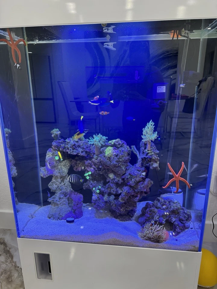 Fish Tank Salt Water - Image 2 of 4