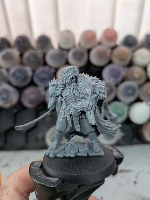 Warhammer,Age of Sigmar, Radukar the Wolf, Soulblight Gravelords, Assembled