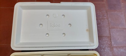 IGLOO Marine Ultra Kühlschrank Gefrierschrank Outdoor Weiß 45 l » - Bild 4 von 6