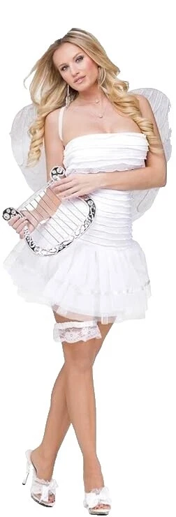 Fun World Sexy Dress Costumes for Women