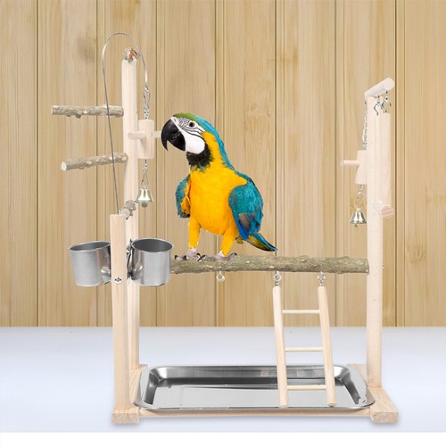 Bird Playground with Chewing Toy with Feeder Wooden Parrot Stand for Budgies - Picture 4 of 12