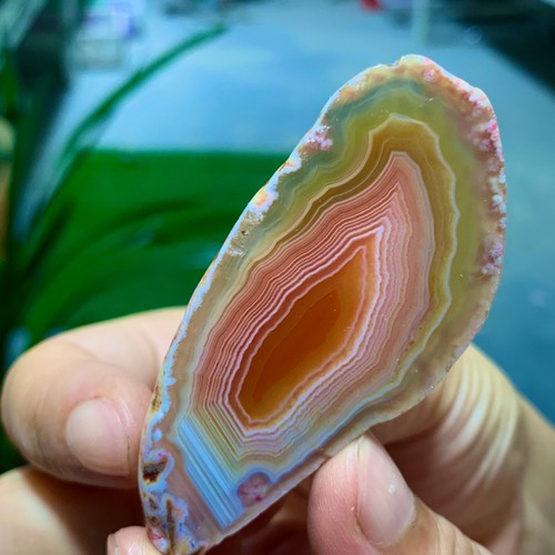 19G Natural Beautiful Agate Geode Druzy Slice Extra Large Gemstone - Picture 2 of 12