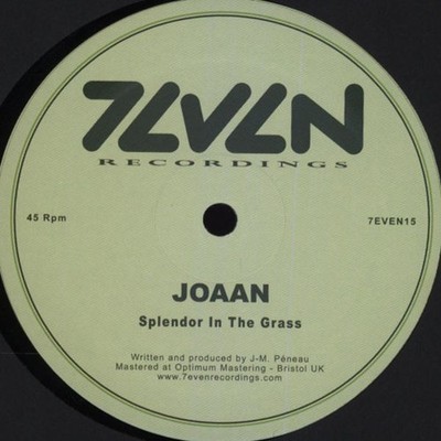 Joaan - Splendor In The Grass, 12'', (Vinyl)
