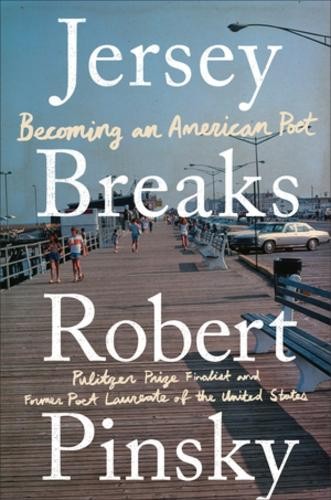 Jersey Breaks - 9780393882049