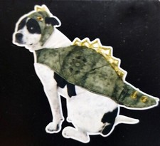 Dog Dinosaur Costume Vibrant Life Halloween Size Medium 20-50 Pound NEW
