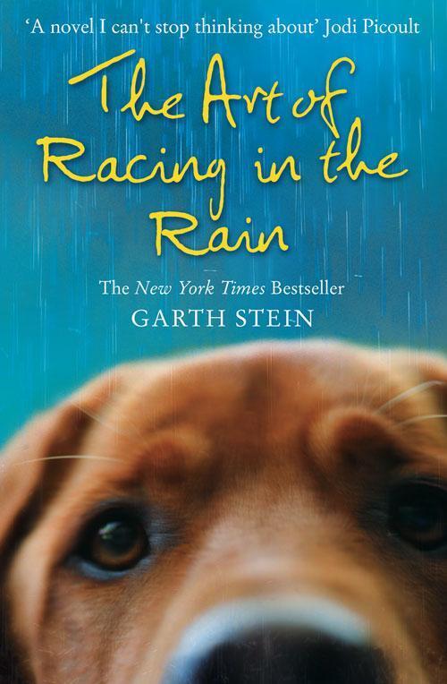 Thumbnail - The Art Of Racing In The Rain | Garth Stein | Englisch | Taschenbuch |