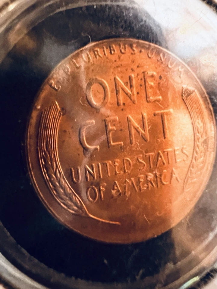 1950•D Lincoln Wheat Penny MS65 Plus - Image 3 of 4
