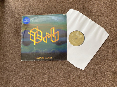 The Orb - Oxbow Lakes - 1995 12'' vinyl - Carl Craig mixes