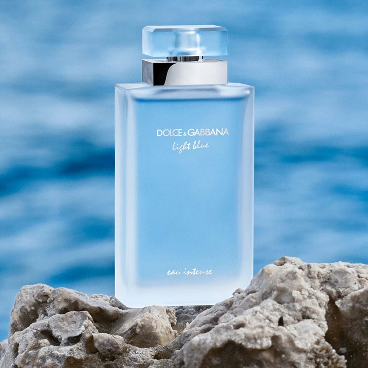  Dolce & Gabbana Light Blue Intense for Men Eau De Parfum  Spray, 3.3 Fl Oz : Beauty & Personal Care