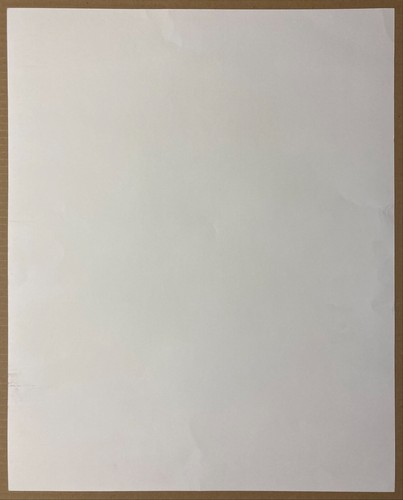 CHRIS CORNELL~WESLEY DALLAS MERRITT~SIGNED & NMBRD 1st EDITION LITHOGRAPH POSTER - Picture 2 of 3