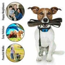 Hunde Erziehungshalsband online kaufen | eBay.de