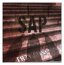 Trzy Stany Ducha von Sap | CD | Zustand sehr gut